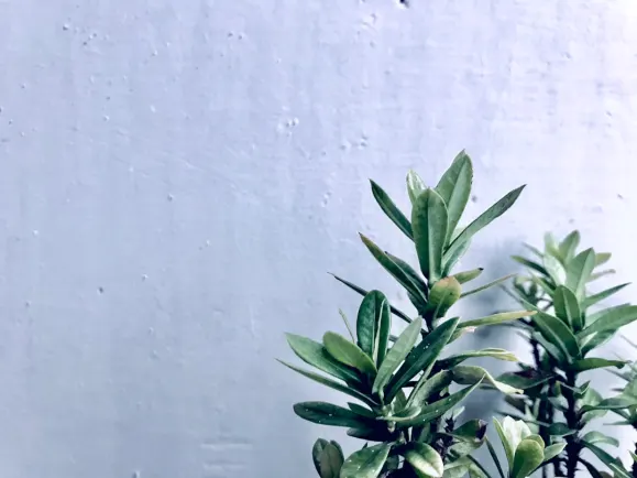 히포지노 카지노 지원